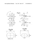 Optical Scanning Probe diagram and image