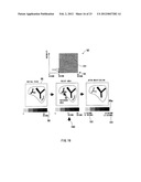 ULTRASONIC DIAGNOSIS APPARATUS AND METHOD FOR CONSTRUCTING DISTRIBUTION     IMAGE OF BLOOD FLOW DYNAMIC STATE diagram and image