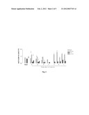 ALANINE-GLYOXYLATE AMINOTRANSFERASE THERAPEUTICS diagram and image