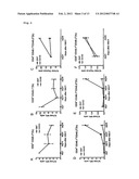 IMMUNOLOGICAL RECONSTITUTION PROMOTER OR PROPHYLACTIC AGENT FOR INFECTIONS     EACH OF WHICH MAINTAINS GRAFT-VERSUS-TUMOR EFFECT diagram and image