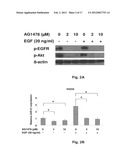 MicroRNAs in Never-Smokers and Related Materials and Methods diagram and image