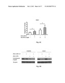 MicroRNAs in Never-Smokers and Related Materials and Methods diagram and image