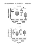 MicroRNAs in Never-Smokers and Related Materials and Methods diagram and image