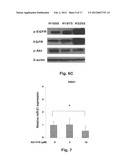 MicroRNAs in Never-Smokers and Related Materials and Methods diagram and image