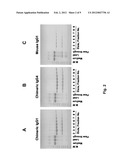 METHODS AND COMPOSITIONS FOR TREATING ALLERGIC DISEASES diagram and image