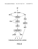 COMPOSITIONS AND METHODS FOR TREATING CANCER diagram and image