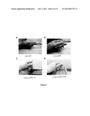 Induction of p53 expression by neutralization of neuropilin-2 for the     treatment of cancers diagram and image