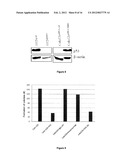 Induction of p53 expression by neutralization of neuropilin-2 for the     treatment of cancers diagram and image