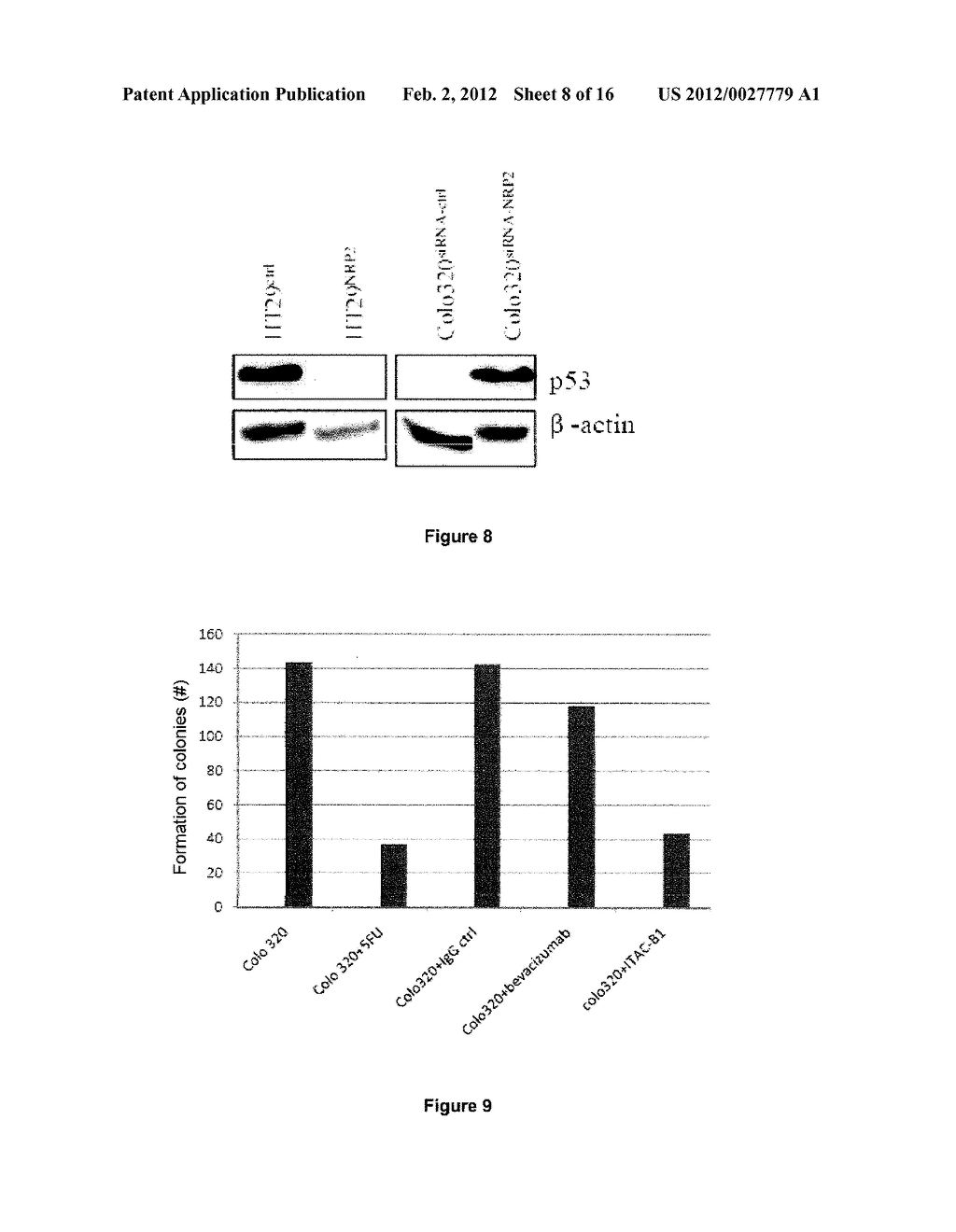 Induction of p53 expression by neutralization of neuropilin-2 for the     treatment of cancers - diagram, schematic, and image 09