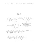 MONOMETHYLVALINE COMPOUNDS CAPABLE OF CONJUGATION TO LIGANDS diagram and image