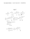 MONOMETHYLVALINE COMPOUNDS CAPABLE OF CONJUGATION TO LIGANDS diagram and image