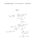 MONOMETHYLVALINE COMPOUNDS CAPABLE OF CONJUGATION TO LIGANDS diagram and image