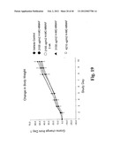 MONOMETHYLVALINE COMPOUNDS CAPABLE OF CONJUGATION TO LIGANDS diagram and image