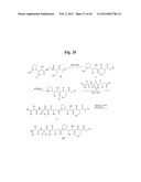 MONOMETHYLVALINE COMPOUNDS CAPABLE OF CONJUGATION TO LIGANDS diagram and image