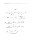 MONOMETHYLVALINE COMPOUNDS CAPABLE OF CONJUGATION TO LIGANDS diagram and image