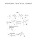 MONOMETHYLVALINE COMPOUNDS CAPABLE OF CONJUGATION TO LIGANDS diagram and image