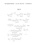 MONOMETHYLVALINE COMPOUNDS CAPABLE OF CONJUGATION TO LIGANDS diagram and image