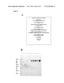 NEISSERIAL VACCINE COMPOSITIONS COMPRISING A COMBINATION OF ANTIGENS diagram and image