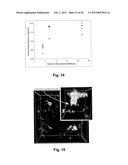 PATCH PRODUCTION diagram and image