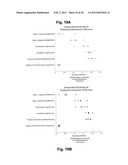 PATCH PRODUCTION diagram and image