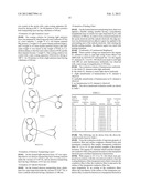 TRANSPARENT CONDUCTIVE FILM AND METHOD FOR MANUFACTURING TRANSPARENT     CONDUCTIVE FILM diagram and image