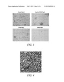 ANTHRAQUINONE BASED NEAR IR EMITTING COMPOUNDS AND USES THEREOF diagram and image