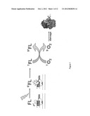 MITIGATION OF PHOTODAMAGE IN ANALYTICAL REACTIONS diagram and image