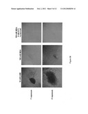 MITIGATION OF PHOTODAMAGE IN ANALYTICAL REACTIONS diagram and image