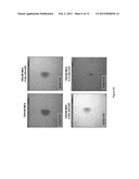 MITIGATION OF PHOTODAMAGE IN ANALYTICAL REACTIONS diagram and image