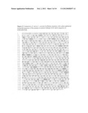 Modified luciola cruciata luciferase gene and protein diagram and image