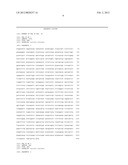 Modified luciola cruciata luciferase gene and protein diagram and image