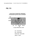 RECEPTOR GENE SCREENING FOR DETECTING OR DIAGNOSING CANCER diagram and image