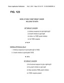 RECEPTOR GENE SCREENING FOR DETECTING OR DIAGNOSING CANCER diagram and image