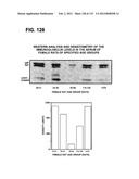 RECEPTOR GENE SCREENING FOR DETECTING OR DIAGNOSING CANCER diagram and image