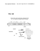 RECEPTOR GENE SCREENING FOR DETECTING OR DIAGNOSING CANCER diagram and image