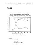 RECEPTOR GENE SCREENING FOR DETECTING OR DIAGNOSING CANCER diagram and image