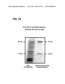 RECEPTOR GENE SCREENING FOR DETECTING OR DIAGNOSING CANCER diagram and image