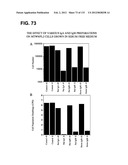 RECEPTOR GENE SCREENING FOR DETECTING OR DIAGNOSING CANCER diagram and image