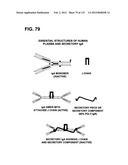 RECEPTOR GENE SCREENING FOR DETECTING OR DIAGNOSING CANCER diagram and image