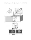 METAL-ENHANCED BIOLUMINESCENCE: AN APPROACH FOR MONITORING BIOLOGICAL     BIOLUMINESCENT PROCESSES diagram and image