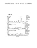 TRAPPING COMPOUNDS AND METHOD FOR IDENTIFYING REACTIVE METABOLITES diagram and image