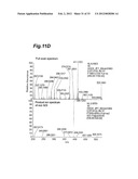 TRAPPING COMPOUNDS AND METHOD FOR IDENTIFYING REACTIVE METABOLITES diagram and image