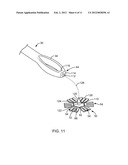 FECAL SAMPLE COLLECTION AND PROCESSING APPARATUS AND METHOD diagram and image