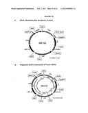 SOMATIC HYPERMUTATION SYSTEMS diagram and image