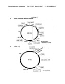 SOMATIC HYPERMUTATION SYSTEMS diagram and image