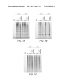 ANTI-VIRAL AZIDE-CONTAINING COMPOUNDS diagram and image