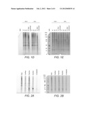 ANTI-VIRAL AZIDE-CONTAINING COMPOUNDS diagram and image