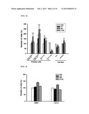 PRODUCTION PROCESS OF GENDER-SPECIFIC SERUM AND BIOMARKER USING THE SERUM diagram and image