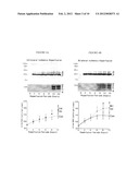 METHOD AND KIT FOR DETECTING THE EARLY ONSET OF RENAL TUBULAR CELL INJURY diagram and image