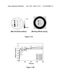 DEVICE FOR RAPID IDENTIFICATION OF NUCLEIC ACIDS FOR BINDING TO SPECIFIC     CHEMICAL TARGETS diagram and image